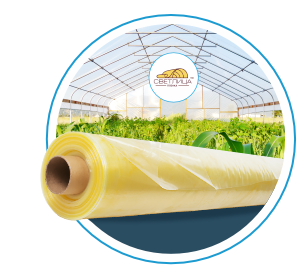 кругляш_Светлица.png